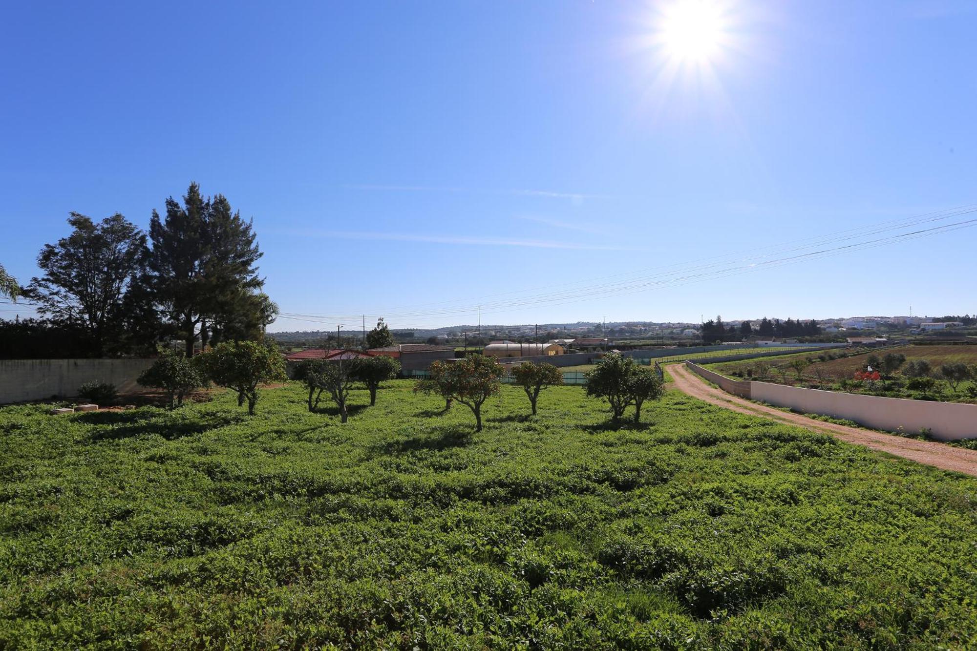 Quinta Da Ponte Apartment โอดิอาแชริ ภายนอก รูปภาพ